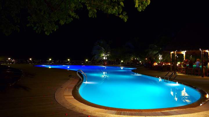 Bandeau pisicine 3 copy